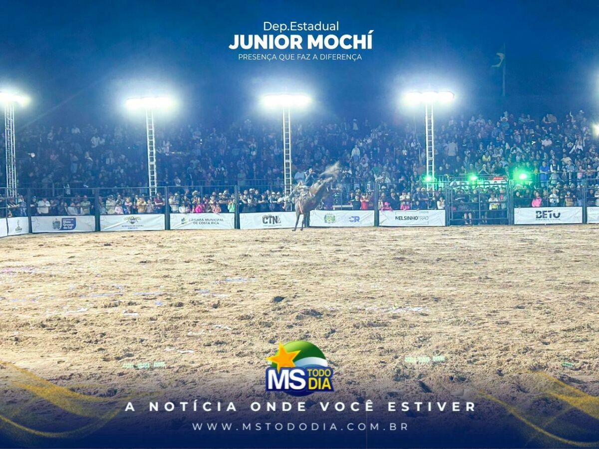 Imagem da Galeria